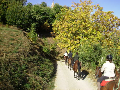 bosco di Sascoli